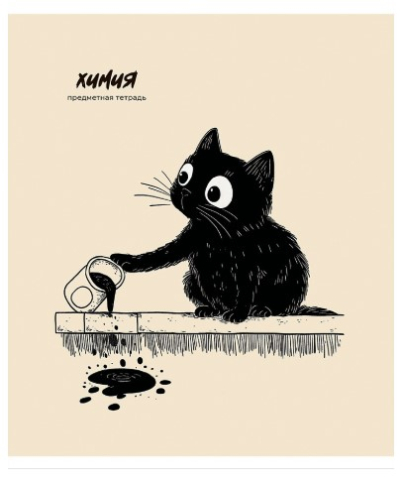 Тетрадь предметная А5, 48 л. на скобе Bad Cat 165×205 мм, клетка, «Химия»