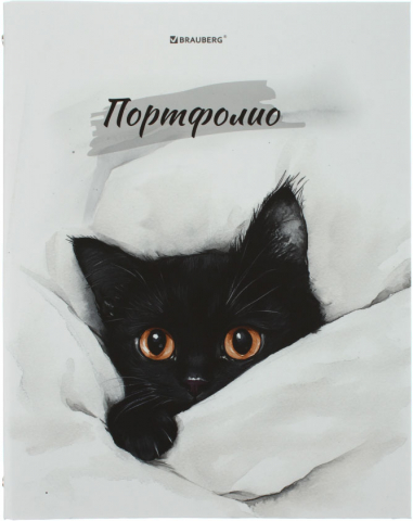 Папка-портфолио пластиковая на 4-х кольцах Brauberg, Cat