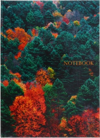 Книжка записная «Живая планета», 210*290 мм, 100 л., клетка, «Панорама леса»