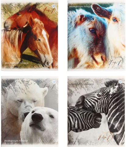 Тетрадь общая А5, 96 л. на скобе «Бумажная фабрика Гознака», 165*200 мм, «Любовь», ассорти Тетрадь общая А5, 96 л. на скобе «Бумажная фабрика Гознака», 165*200 мм, «Любовь», ассорти