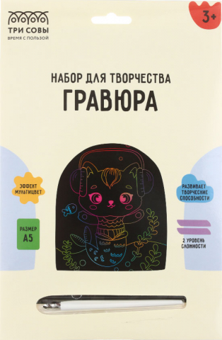 Набор для творчества «Гравюра. Три совы» А5, «Музыка», с эффектом мультицвета