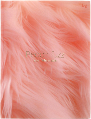 Книжка записная «Бизнес-блокнот» BG А5 (80 л.), 165*215 мм, 80 л., клетка, Peach Fuzz