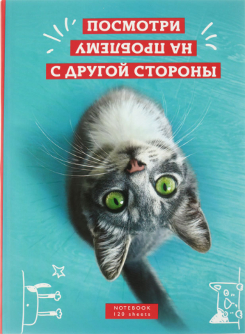 Книжка записная «Бизнес-блокнот» BG А4 (120 л.), 215*295 мм, 120 л., клетка, Problem? Книжка записная «Бизнес-блокнот» BG А4 (120 л.), 215*295 мм, 120 л., клетка, Problem?