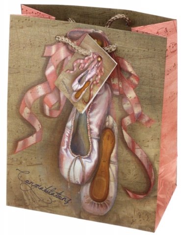 Пакет подарочный «Феникс Презент» , 17,8*22,9*9,8 см, «Пуанты»