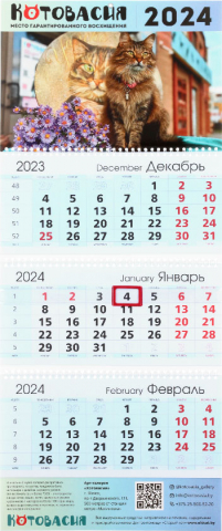 Календарь настенный трехрядный на 2024 год «Котовасия», 29,5*72 см, «Хранители Котовасии — Яша»