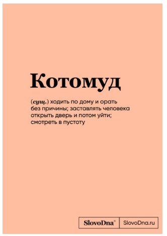 Книжка записная SlovoDna «Котомуд», 138*200 мм, 64 л.