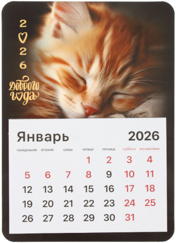 Календарь отрывной на магните на 2026 год Brauberg 130×180 мм, «Котик»