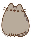 Ластик Pusheen, 40*45 мм