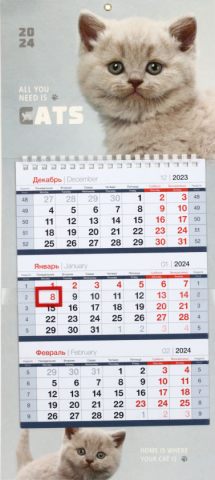 Календарь настенный квартальный на 2024 год OfficeSpace Mini Premium, «Пушистый котенок»