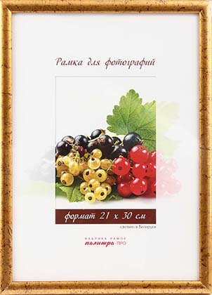 Фоторамка пластиковая «Палитра», 21*30 см, золотистая