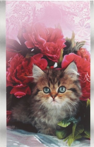 Блокнот на скобе «ТетраПром», 90*140 мм, 24 л., клетка, My little kitty Блокнот на скобе «ТетраПром», 90*140 мм, 24 л., клетка, My little kitty