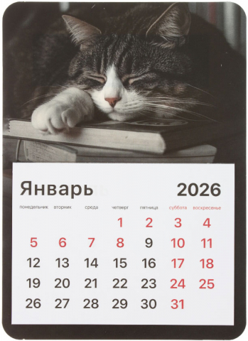 Календарь отрывной на магните на 2026 год Brauberg, 130*180 мм, «Спящий кот»