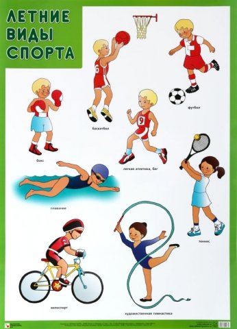 Плакат «Летние виды спорта», 500*690 мм