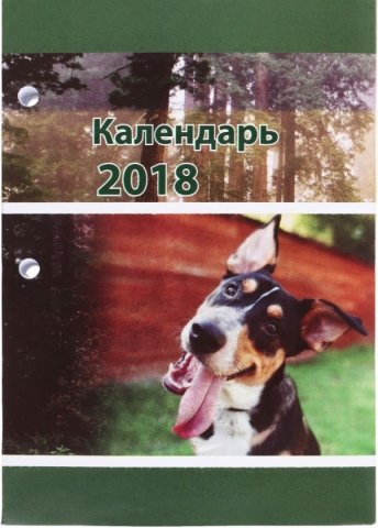 Календарь настольный перекидной на 2018 год «Оршанская типография», 100*140 мм 