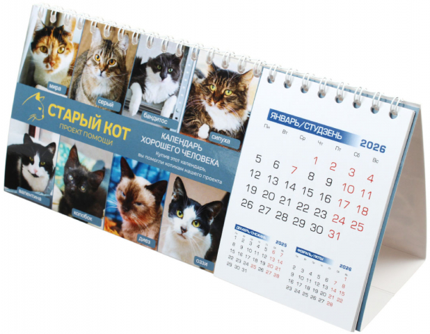 «Календарь хорошего человека» на 2026 год «Домик» 210×100 мм