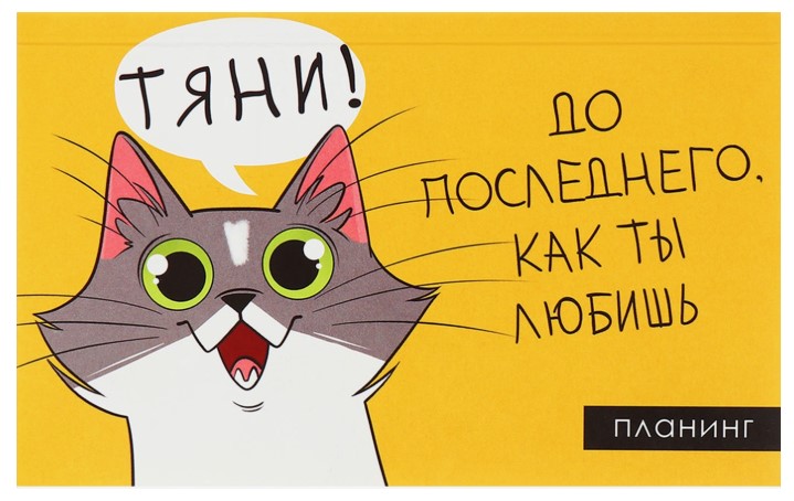 Планинг недатированный на склейке Calligrata 105×170 мм, 50 л., «Планер трудоголика»