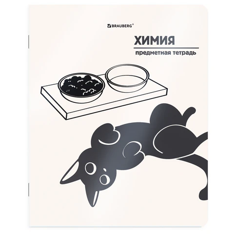 Тетрадь предметная А5, 48 л. на скобе «Кот-непоседа» 165×205 мм, клетка, «Химия» Тетрадь предметная А5, 48 л. на скобе «Кот-непоседа» 165×205 мм, клетка, «Химия»