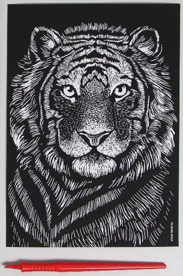 Набор для творчества «Гравюра» Sima-Land, А4, «Тигренок», с металлическим эффектом (золото) Набор для творчества «Гравюра» Sima-Land, А4, «Тигренок», с металлическим эффектом (золото)