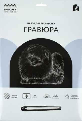 Набор для творчества «Гравюра. Три совы» А4 «Шпиц», с эффектом серебристого металлика