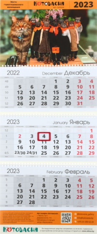 Календарь настенный трехрядный на 2023 год «Котовасия», 29,5*72 см, оранжевый