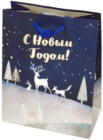 Пакет подарочный новогодний Meshu, 18*23*10 см, Christmas Magic Пакет подарочный новогодний Meshu, 18*23*10 см, Christmas Magic