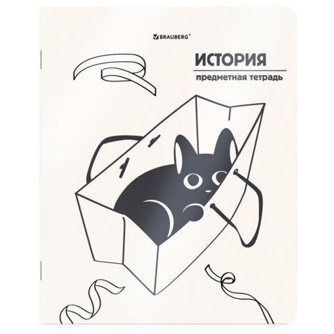 Тетрадь предметная А5, 48 л. на скобе «Кот-непоседа» 165×205 мм, клетка, «История» Тетрадь предметная А5, 48 л. на скобе «Кот-непоседа» 165×205 мм, клетка, «История»