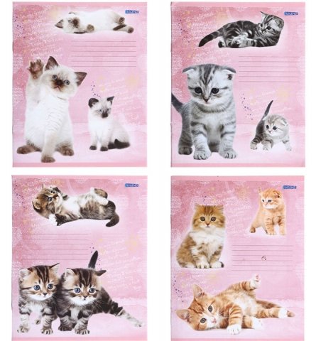 Тетрадь-брошюра А5, 12 л. на скобе «Котята-4», 165*204 мм, клетка, ассорти (белизна бумаги менее 80%)