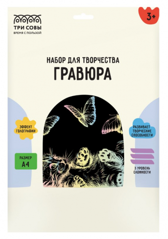 Набор для творчества «Гравюра. Три совы» А4 «Кошка и бабочки», с голографическим эффектом