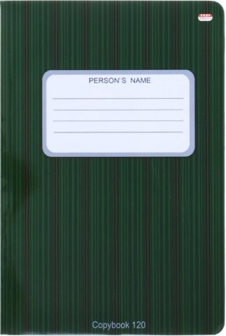 Тетрадь общая В5, 120 л. «Проф-Пресс», 160*240 мм, клетка, «В полоску черно-зеленая»