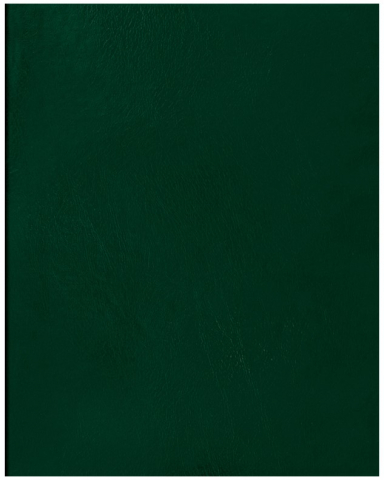 Тетрадь общая А5, 48 л. на скобе BG, 162*202 мм, клетка, зеленая