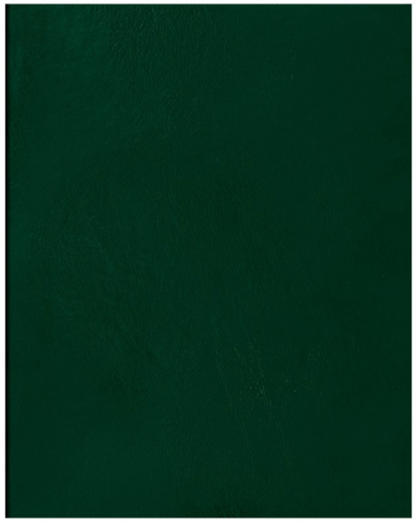 Тетрадь общая А5, 48 л. на скобе BG 162×202 мм, клетка, зеленая
