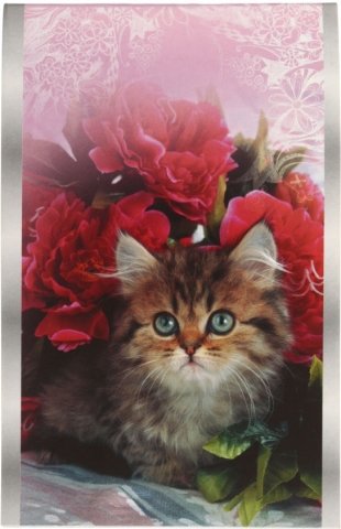 Блокнот на скобе «ТетраПром», 90*140 мм, 24 л., клетка, My little kitty Блокнот на скобе «ТетраПром», 90*140 мм, 24 л., клетка, My little kitty