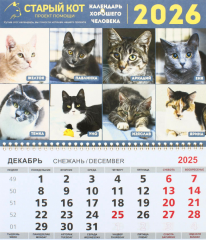 «Календарь хорошего человека» на 2026 год (квартальный настенный трехрядный), 29,5*72 см (благотворительный) «Календарь хорошего человека» на 2026 год (квартальный настенный трехрядный), 29,5*72 см (благотворительный)