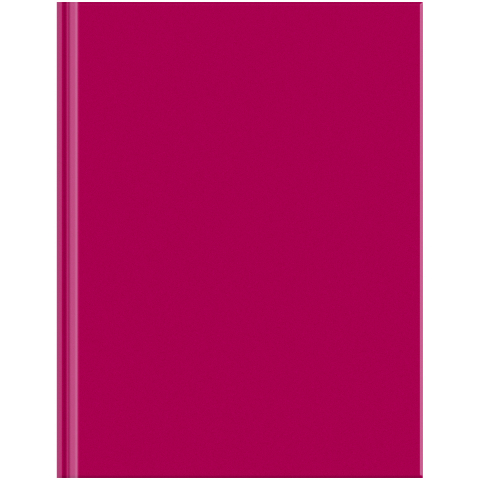 Книжка записная «Бизнес-блокнот. Для конференций» BG А4 (80 л.) 215×295 мм, 80 л., клетка, бордовая