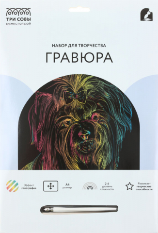 Набор для творчества «Гравюра. Три совы» А4 «Йорк», с эффектом голографии