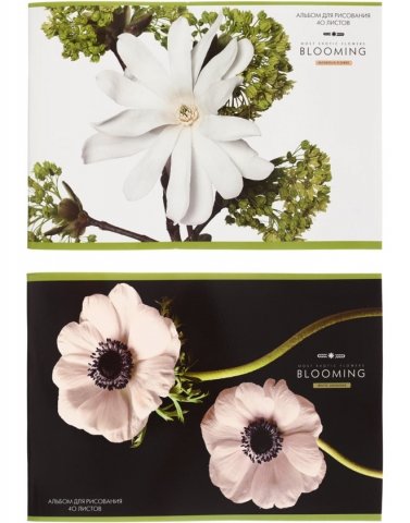 Альбом для рисования А4 «Экзотические цветы», 40 л. 