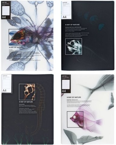 Папка-скоросшиватель пластиковая с пружиной X-Ray, толщина пластика 0,6 мм, ассорти