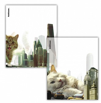 Обложка для тетрадей и дневников ErichKrause, 212*347мм, 80 мкм, Big City Cats, ассорти