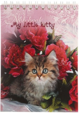 Блокнот на гребне «ТетраПром», 105*140 мм, 40 л., клетка, My little kitty Блокнот на гребне «ТетраПром», 105*140 мм, 40 л., клетка, My little kitty