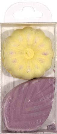 Мел цветной фигурный Silwerhof, 2 шт., в форме цветка/листика, Zanzibar