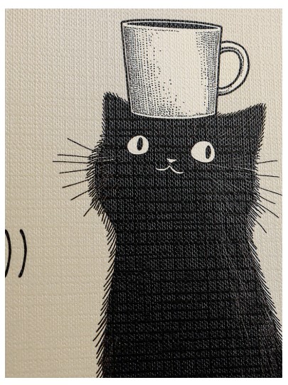 Тетрадь общая А5, 48 л. на скобе «Послушный черный кот», 165*205 мм, клетка, ассорти