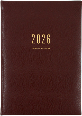 Ежедневник датированный на 2026 год BG Dallas (А4), 210*297 мм, 176 л., коричневый Ежедневник датированный на 2026 год BG Dallas (А4), 210*297 мм, 176 л., коричневый