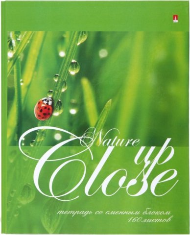 Тетрадь общая А5, 160 л. на кольцах «Природа», 178*220 мм, клетка, «Божья коровка» 