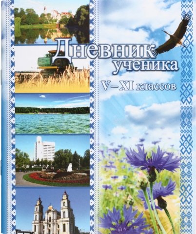 Дневник школьный «Борисовская типография», 46 л., «Дневник ученика», для 5-11 классов (на русском языке)