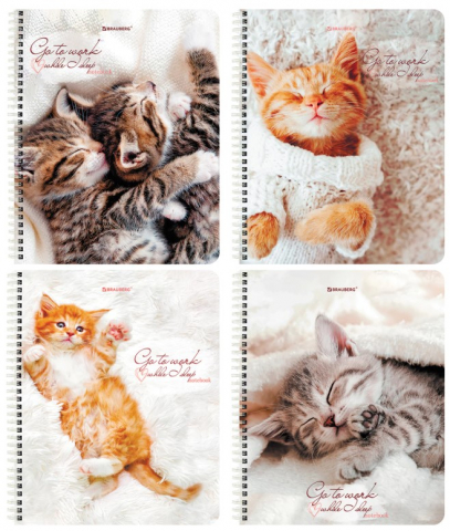 Тетрадь общая А5, 96 л. на гребне Brauberg «Котики», 165*205 мм, клетка, ассорти