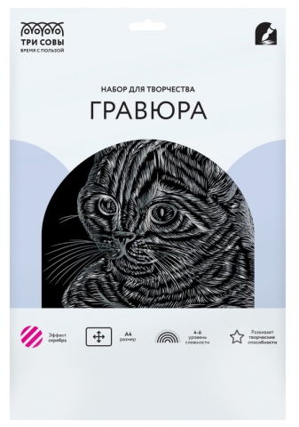 Набор для творчества «Гравюра. Три совы» А4 «Полосатый кот», с эффектом серебристого металлика Набор для творчества «Гравюра. Три совы» А4 «Полосатый кот», с эффектом серебристого металлика