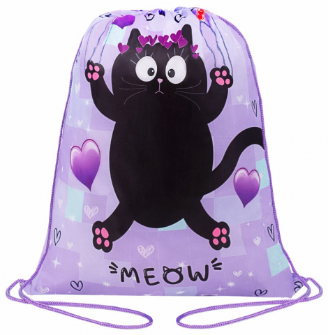 Мешок для обуви «Пифагор» 420×340 мм, Falling Cat