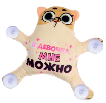 Автоигрушка на присосках Sima-Land, 20*20*5 см, «Я девочка, мне можно» Автоигрушка на присосках Sima-Land, 20*20*5 см, «Я девочка, мне можно»