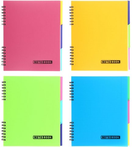 Книжка записная на гребне с разделителями Economix, 160*205 мм, 120 л., клетка, ассорти (цена за 1 шт.)