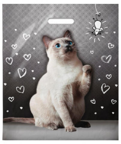 Пакет подарочный полиэтиленовый «Стильная открытка» 40×47 см, 45 мкм, «Шалун» Пакет подарочный полиэтиленовый «Стильная открытка» 40×47 см, 45 мкм, «Шалун»